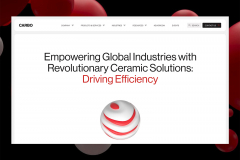 Branding, Web Design and Website Development for CARBO